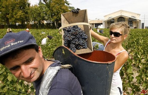 Bordigherai: i Vini 'nuovi' in arrivo all'enoteca del mercato coperto Venturi Vini Bordigherai: i Vini 'nuovi' in arrivo all'enoteca del mercato coperto Venturi Vini