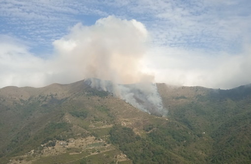 Montalto Carpasio: quasi spento l'incendio che per due giorni ha bruciato il bosco, oggi la bonifica Montalto Carpasio: quasi spento l'incendio che per due giorni ha bruciato il bosco, oggi la bonifica
