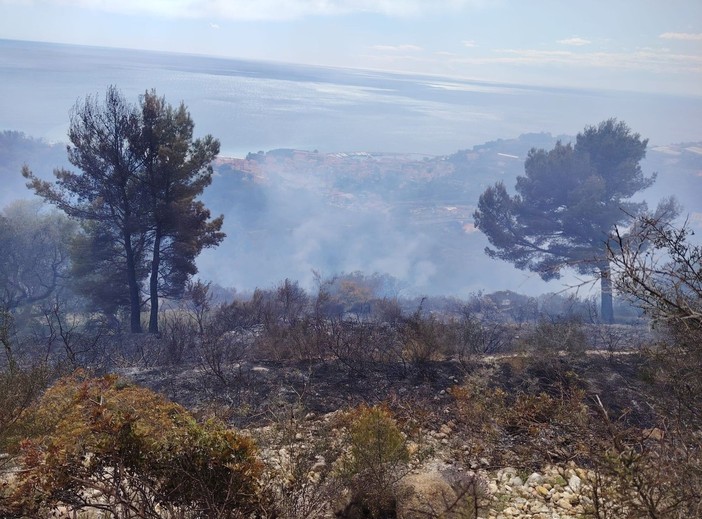 Incendio a Camporosso, Gibelli: "Situazione prontamente contenuta e riportata sotto controllo" (Foto)