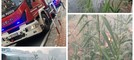 Vallecrosia al Mare, fumo e fiamme: incendio divampa nel Verbone  (Foto e video)