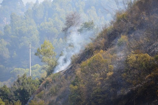Due incendi di sterpaglie a Ceriana ed in regione Baitè ad Imperia: interventi dei Vigili del Fuoco Due incendi di sterpaglie a Ceriana ed in regione Baitè ad Imperia: interventi dei Vigili del Fuoco