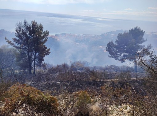 Incendio a Camporosso, Gibelli: "Situazione prontamente contenuta e riportata sotto controllo" (Foto)