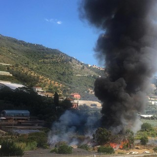 Taggia: incendio nei pressi del maneggio causato dal rogo di alcune sterpaglie Taggia: incendio nei pressi del maneggio causato dal rogo di alcune sterpaglie
