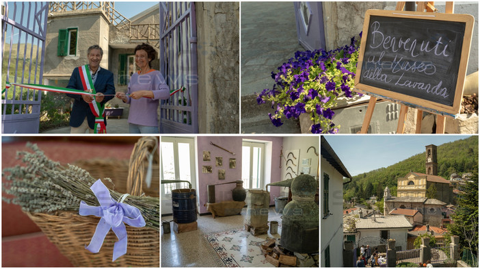 Vi portiamo nel nuovo Museo della Lavanda di Carpasio: un viaggio nel passato contadino di questo borgo (foto e video) Vi portiamo nel nuovo Museo della Lavanda di Carpasio: un viaggio nel passato contadino di questo borgo (foto e video)