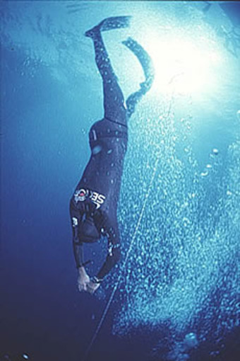 Bordighera: venerdì al Centro Sub la presentazione del nuovo corso per immersione in apnea e con bombole