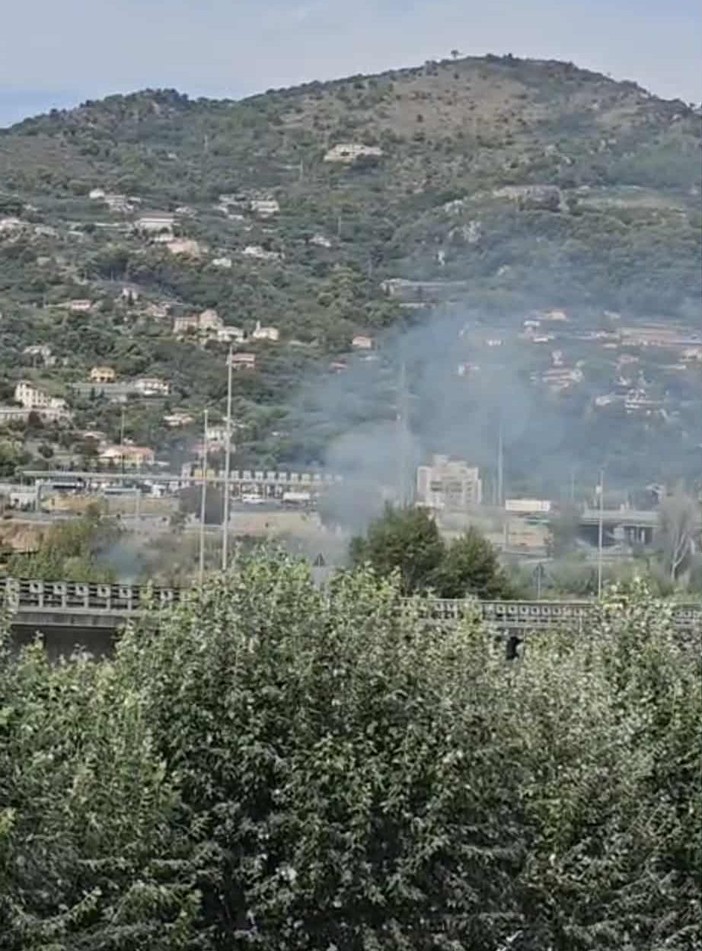 Ventimiglia, fumo e fiamme nel Roia: vigili del fuoco in azione (Video)