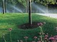 Da Mezzo pollice è tempo di irrigazione! Non solo idraulica ma anche giardinaggio e agricoltura Da Mezzo pollice è tempo di irrigazione! Non solo idraulica ma anche giardinaggio e agricoltura