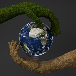 Perché la sostenibilità è diventata un obiettivo prioritario per le imprese