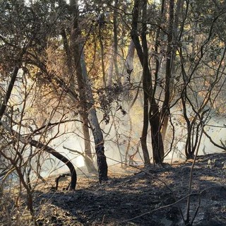 Sanremo, spenti i due incendi sulla strada per San Romolo: conclusa anche la bonifica ad Osaggio Sanremo, spenti i due incendi sulla strada per San Romolo: conclusa anche la bonifica ad Osaggio