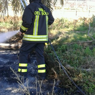 Santo Stefano al Mare: incendio in un palmeto. Situazione sotto controllo grazie all'intervento dei Vigili del Fuoco