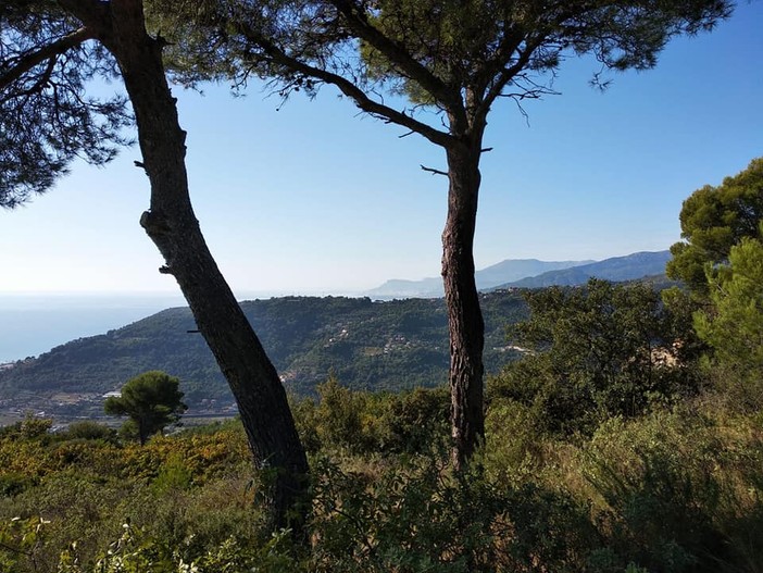 Da San Biagio della Cima parte l'itinerario a piedi sui luoghi di Francesco Biamonti (Foto) Da San Biagio della Cima parte l'itinerario a piedi sui luoghi di Francesco Biamonti (Foto)