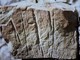 Vallebona: il gruppo ricerche archeologiche &quot;Archeonervia&quot; ha scoperto un'incisione antropomorfa simile ai pebtroglifi della Valle delle Meraviglie