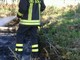 Santo Stefano al Mare: incendio in un palmeto. Situazione sotto controllo grazie all'intervento dei Vigili del Fuoco