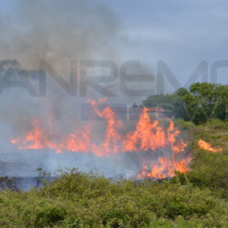 Sanremo: incendi di sabato scorso in via Buonmoschetto, problemi per l'elicottero ma chi deve controllare la pulizia dei terreni?
