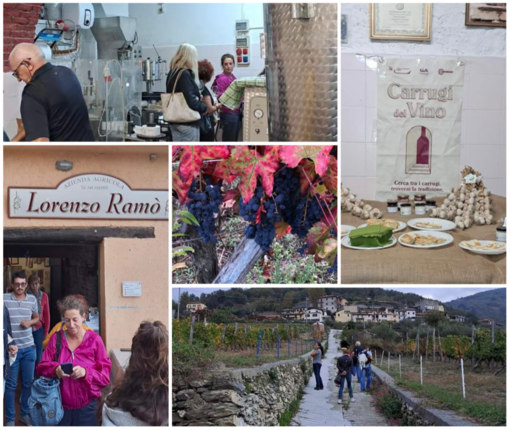 Antiche Vie Del Sale: successo per 'I sapori della terra' il format che coniuga vigneti e orti dei giovani imprenditori della Valle Arroscia Antiche Vie Del Sale: successo per 'I sapori della terra' il format che coniuga vigneti e orti dei giovani imprenditori della Valle Arroscia