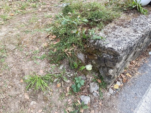 Domani l'autopsia sul corpo di Lara Lorenzini: si dovrà stabilire se i tondini di ferro hanno causato le ferite mortali
