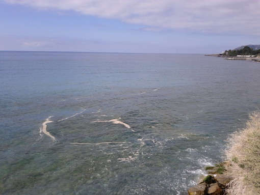 Sanremo: insediamenti abusivi nella zona dei 'Tre Ponti', nuovo intervento di un lettore