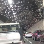 Ventimiglia, incidente in autostrada: traffico in tilt Ventimiglia, incidente in autostrada: traffico in tilt