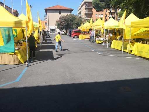 San Bartolomeo al Mare: oggi l'inaugurazione del mercato di Campagna Amica di Coldiretti (foto) San Bartolomeo al Mare: oggi l'inaugurazione del mercato di Campagna Amica di Coldiretti (foto)