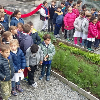 Ventimiglia: questa mattina, cerimonia di inaugurazione dell’orto della scuola di Latte. Le foto Ventimiglia: questa mattina, cerimonia di inaugurazione dell’orto della scuola di Latte. Le foto