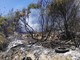 Sanremo: incendio di questa mattina a Coldirodi, i ringraziamenti del Sindaco Biancheri ai soccorritori Sanremo: incendio di questa mattina a Coldirodi, i ringraziamenti del Sindaco Biancheri ai soccorritori