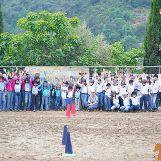 Equitazione, il W.S.G.A. pony sbarca a Camporosso: oltre 60 i partecipanti (Foto) Equitazione, il W.S.G.A. pony sbarca a Camporosso: oltre 60 i partecipanti (Foto)