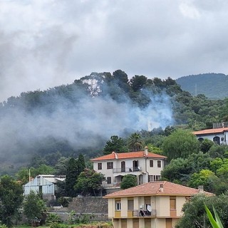Bordighera, incendio nei pressi del casello autostradale: sul posto due squadre dei vigili del fuoco