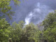 Riva Ligure: incendio di sterpaglie nella strada per Pompeiana domato dai Vigili del Fuoco Riva Ligure: incendio di sterpaglie nella strada per Pompeiana domato dai Vigili del Fuoco