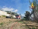 Sanremo, incendio domato: bonifica in corso (Foto e video) Sanremo, incendio domato: bonifica in corso (Foto e video)