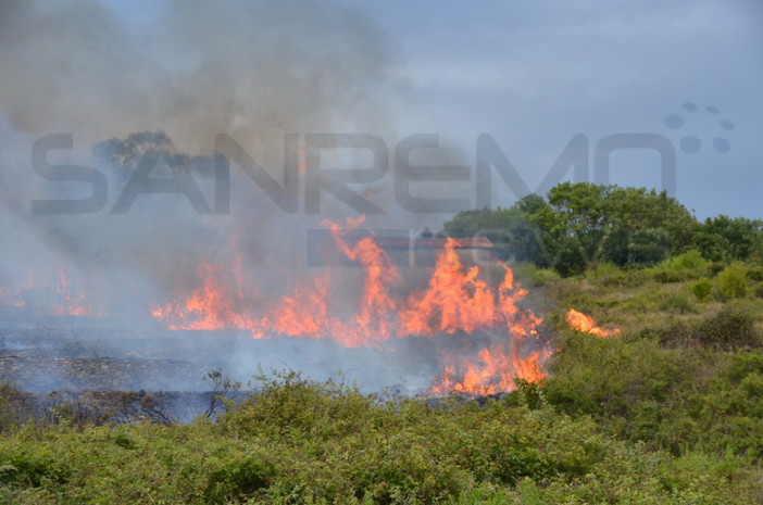 Sanremo: incendi di sabato scorso in via Buonmoschetto, problemi per l'elicottero ma chi deve controllare la pulizia dei terreni?
