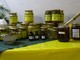 Ospedaletti: giovedì 30 marzo alla 'Piccola' una degustazione di miele sul tema 'Amaro come il miele'