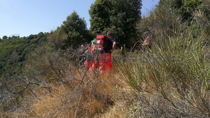 Sanremo: mobilitazione di soccorsi per parapendista finito in mezzo al bosco tra Coldirodi e San Romolo