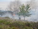 Sanremo: pericolo di incendi, invito del Comune ai proprietari dei terreni a tenere puliti gli appezzamenti