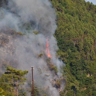 Sanremo: incendio a San Romolo tra Borello e Pian della Castagna, intervento dei mezzi aerei (Foto e Video)