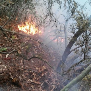 Sanremo: incendio a San Romolo, protezione civile e vigili del fuoco sul posto Sanremo: incendio a San Romolo, protezione civile e vigili del fuoco sul posto