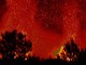 Devastante incendio tra Cervo ed Andora: notte di paura, fiamme vicino alle case, con il giorno riprenderanno gli interventi aerei