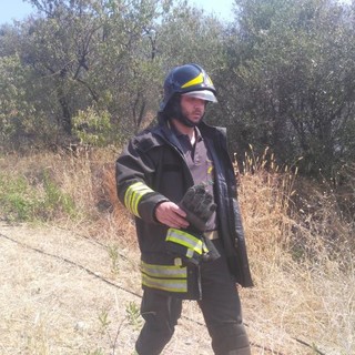 Imperia: a fuoco alcune sterpaglie vicino alla ferrovia a Caramagna (foto e video)