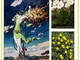 Bajardo: prosegue fino al 18 agosto la mostra “I fiori di Rubino”