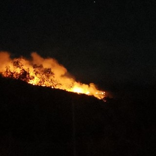 Nuovo incendio boschivo, fronte sopra Dolcedo: in azione i vigili del fuoco