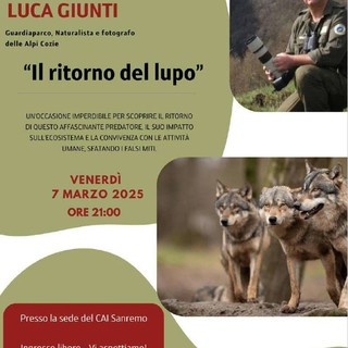 Sanremo: una serata al CAI con 'il ritorno del lupo nelle Alpi e le sue conseguenze in ambito biologico, culturale ed economico' Sanremo: una serata al CAI con 'il ritorno del lupo nelle Alpi e le sue conseguenze in ambito biologico, culturale ed economico'