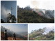 Pompeiana: sotto controllo l'incendio doloso di questa mattina. Bruciati oltre 4mila mq di bosco Pompeiana: sotto controllo l'incendio doloso di questa mattina. Bruciati oltre 4mila mq di bosco