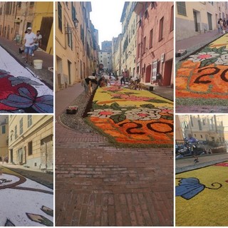 Infiorata del Corpus Domini di Imperia, una lunga distesa di petali in via Carducci Infiorata del Corpus Domini di Imperia, una lunga distesa di petali in via Carducci
