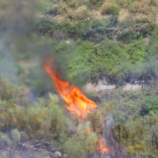 Sanremo: incendio in una campagna in strada Peiranze, intervento dei Vigili del Fuoco, il video delle fiamme