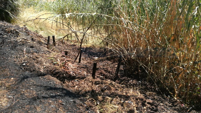 Sanremo: spento in breve tempo incendio di sterpaglie divampato vicino al campo ippico del Solaro
