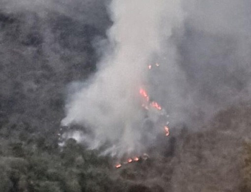 Da lunedì 15 settembre termina lo stato di grave pericolosità per incendi boschivi in Liguria Da lunedì 15 settembre termina lo stato di grave pericolosità per incendi boschivi in Liguria