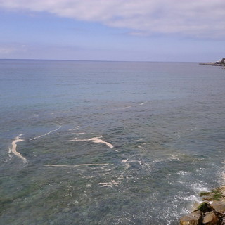 Sanremo: insediamenti abusivi nella zona dei 'Tre Ponti', nuovo intervento di un lettore