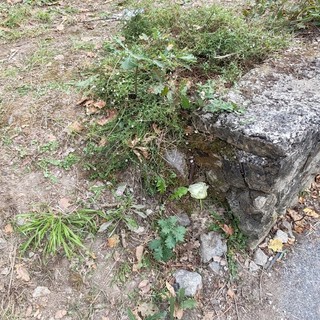 Domani l'autopsia sul corpo di Lara Lorenzini: si dovrà stabilire se i tondini di ferro hanno causato le ferite mortali