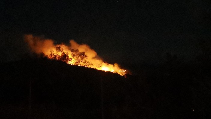 Vasto incendio in val Prino, a Valloria bruciano i boschi in zona Santa Marta