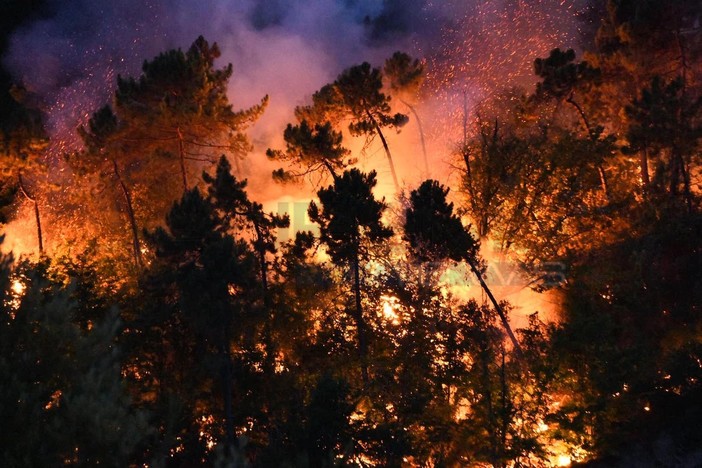 Sanremo: Vigili del Fuoco in azione per un incendio boschivo in località Gozo (foto e video) Sanremo: Vigili del Fuoco in azione per un incendio boschivo in località Gozo (foto e video)