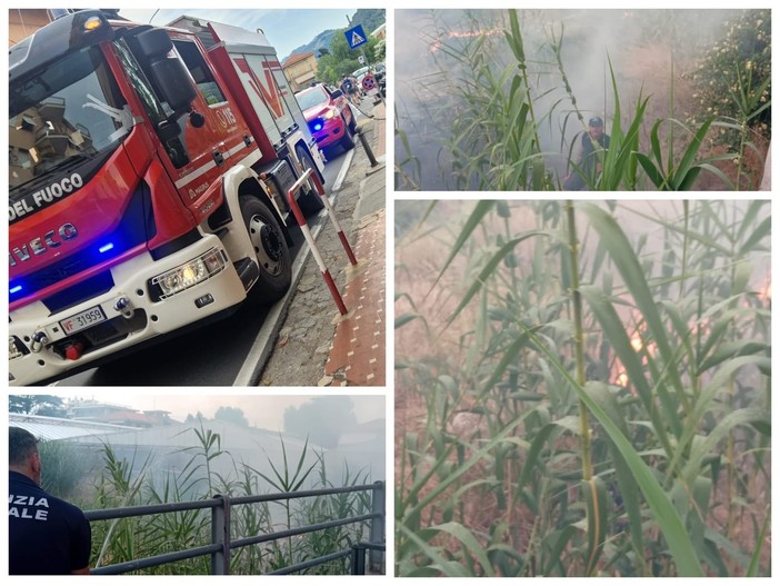 Vallecrosia al Mare, fumo e fiamme: incendio divampa nel Verbone (Foto e video) Vallecrosia al Mare, fumo e fiamme: incendio divampa nel Verbone (Foto e video)
